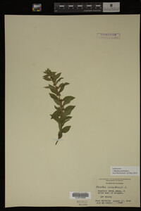 Image Associated With the Occurrence