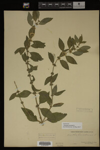 Image Associated With the Occurrence