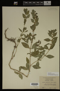 Image Associated With the Occurrence