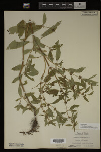 Image Associated With the Occurrence
