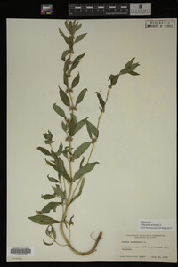 Image Associated With the Occurrence