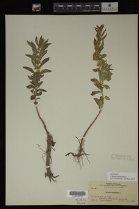 Image Associated With the Occurrence