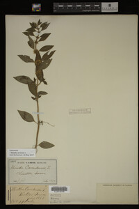 Image Associated With the Occurrence