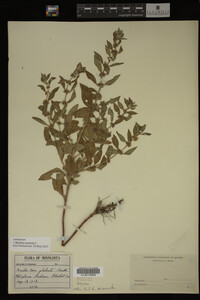 Image Associated With the Occurrence