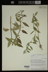 Image Associated With the Occurrence