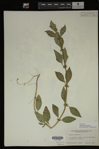 Image Associated With the Occurrence
