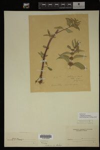 Image Associated With the Occurrence