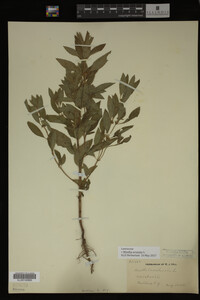 Image Associated With the Occurrence