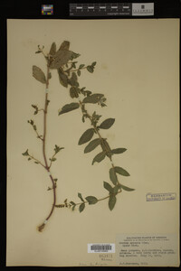 Image Associated With the Occurrence