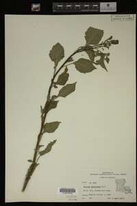 Image Associated With the Occurrence