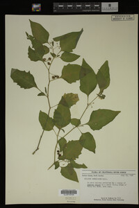 Image Associated With the Occurrence