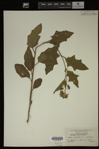 Image Associated With the Occurrence