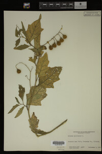 Image Associated With the Occurrence