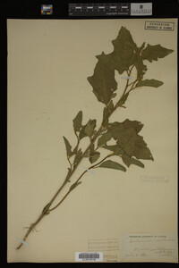 Image Associated With the Occurrence