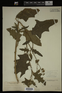 Image Associated With the Occurrence