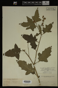 Image Associated With the Occurrence