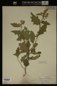 Image Associated With the Occurrence