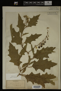 Image Associated With the Occurrence