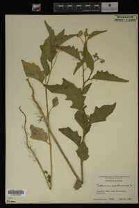 Image Associated With the Occurrence