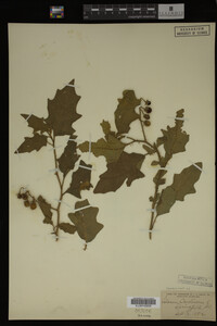 Image Associated With the Occurrence