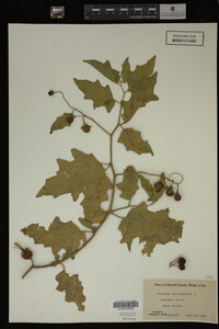 Image Associated With the Occurrence