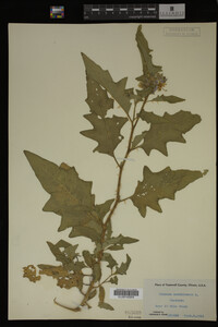 Image Associated With the Occurrence