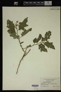 Image Associated With the Occurrence