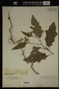 Image Associated With the Occurrence