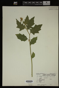 Image Associated With the Occurrence