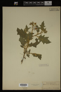 Image Associated With the Occurrence