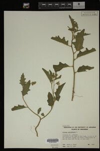 Image Associated With the Occurrence