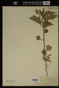 Image Associated With the Occurrence