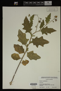 Image Associated With the Occurrence