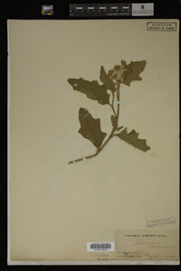 Image Associated With the Occurrence