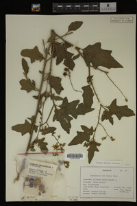 Image Associated With the Occurrence