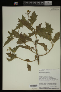 Image Associated With the Occurrence