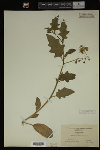 Image Associated With the Occurrence