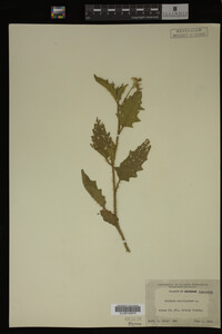 Image Associated With the Occurrence