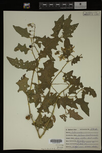 Image Associated With the Occurrence