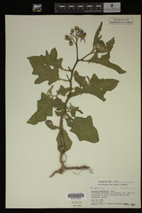 Image Associated With the Occurrence