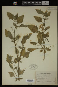 Image Associated With the Occurrence