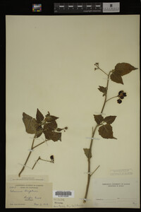 Image Associated With the Occurrence