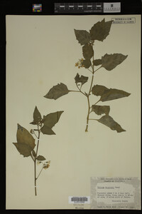 Image Associated With the Occurrence