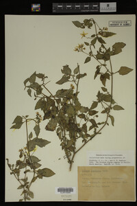 Image Associated With the Occurrence