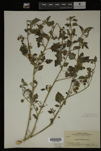 Image Associated With the Occurrence