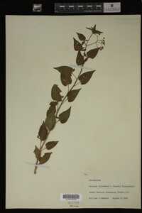 Image Associated With the Occurrence