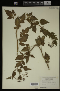 Image Associated With the Occurrence