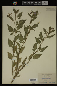 Image Associated With the Occurrence