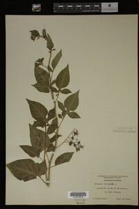 Image Associated With the Occurrence