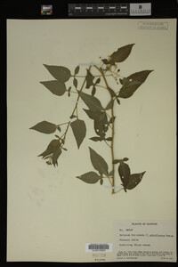 Image Associated With the Occurrence